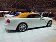 Rolls Royce Dawn  (3)